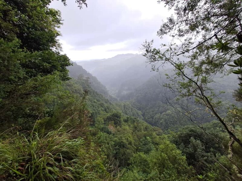 Madeira: Levada do Rei Guided Hike with Hotel Pickup - Practical Aspects of the Tour
