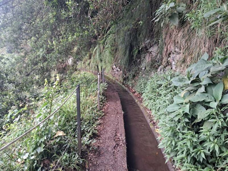 Madeira: Levada do Rei Guided Hike with Hotel Pickup - Suitable for Active Tourists and Nature Lovers