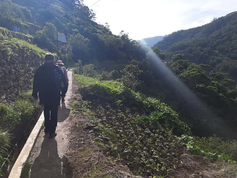 Madeira: Levada dos Maroços Hike - Observing Local Residents and Traditional Farming Life