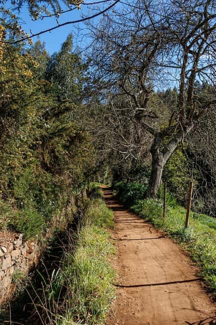 Madeira: Levada Paradise Valley Scenic Walk - Exploring Madeiras Cultivated Terraces and Agricultural Heritage