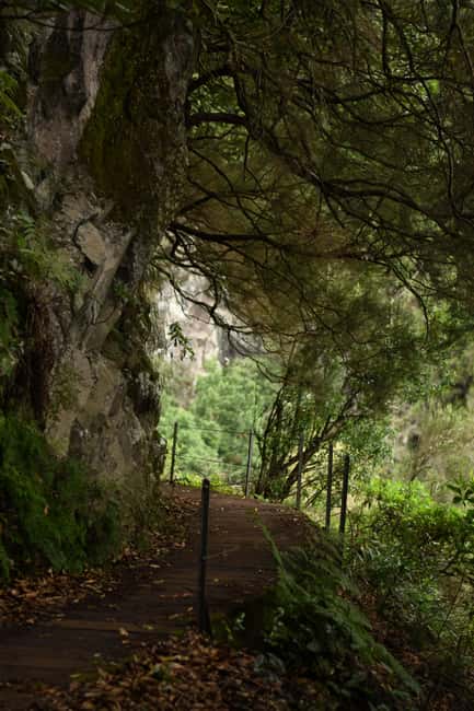 Madeira: Levada Paradise Valley Scenic Walk - Connecting with Madeira’s Rural Charm and Cultural Identity