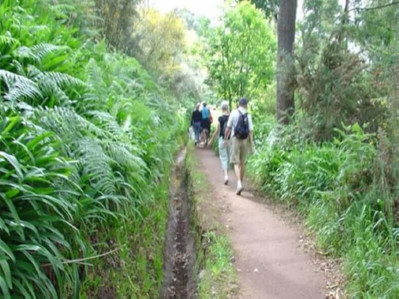 Madeira: Levada Paradise Valley Scenic Walk - What’s Not Included and What to Bring
