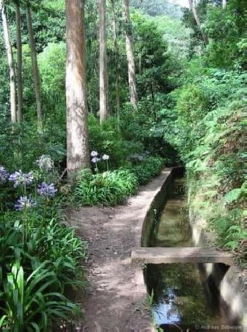 Madeira: Levada Paradise Valley Scenic Walk - Who Will Appreciate This Tour Most