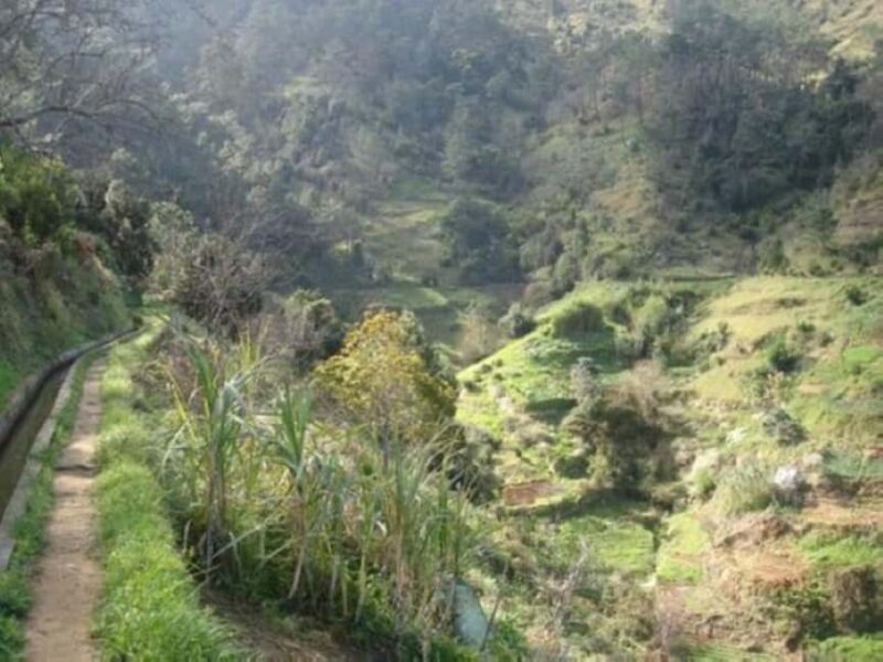 Madeira: Levada Referta  Castelejo Guided Walk - Discovering Authentic Madeira Villages