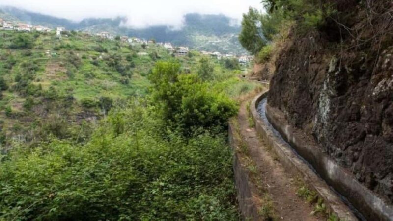 Madeira: Levada Referta  Castelejo Guided Walk - Terraced Fields and Mountain Landscapes