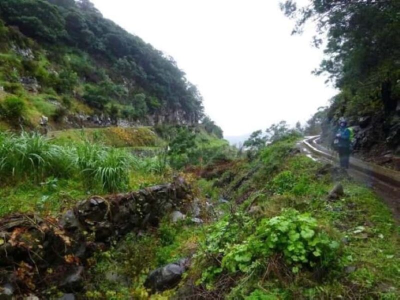 Madeira: Levada Referta  Castelejo Guided Walk - Final Thoughts on the Levada Referta - Castelejo Guided Walk
