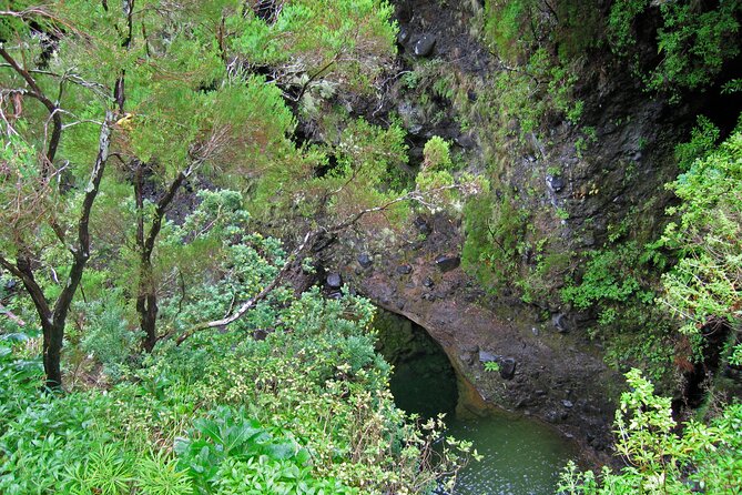 Madeira Levada Walk - Rabacal Lakes and Fountains - Madeiras Scenic Levada Walks: An Overview