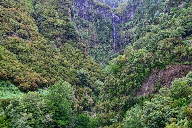Madeira Levada Walk - Rabacal Lakes and Fountains - Walking Through the Laurisilva Forest