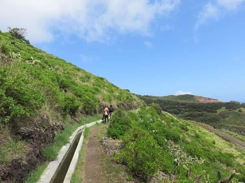 Madeira Levada Walk with Poncha Tasting - Explore Madeira’s Eastern Coast on a Scenic Levada Walk and Poncha Tasting