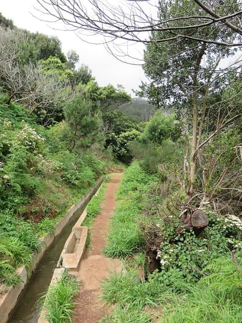 Madeira Levada Walk with Poncha Tasting - Visiting the Fishing Village of Caniçal