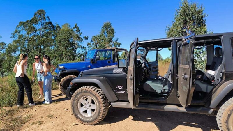 Madeira: Luxury Jeep Tours - Who Will Enjoy Madeira’s Luxury Jeep Tours