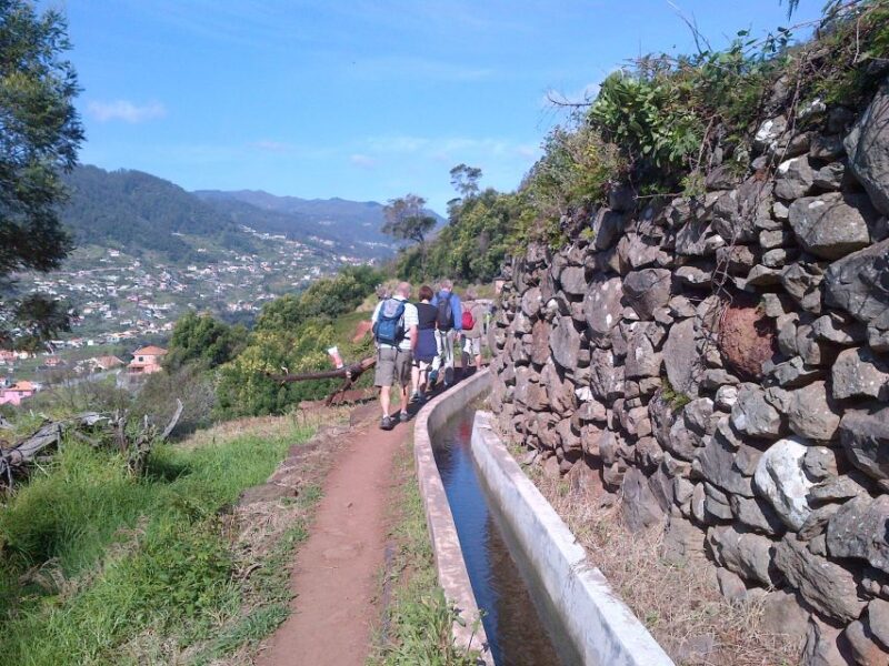 Madeira: Maroços Landscapes 2.5-Hour Guided Walk - Flower Diversity and Local Produce Opportunities