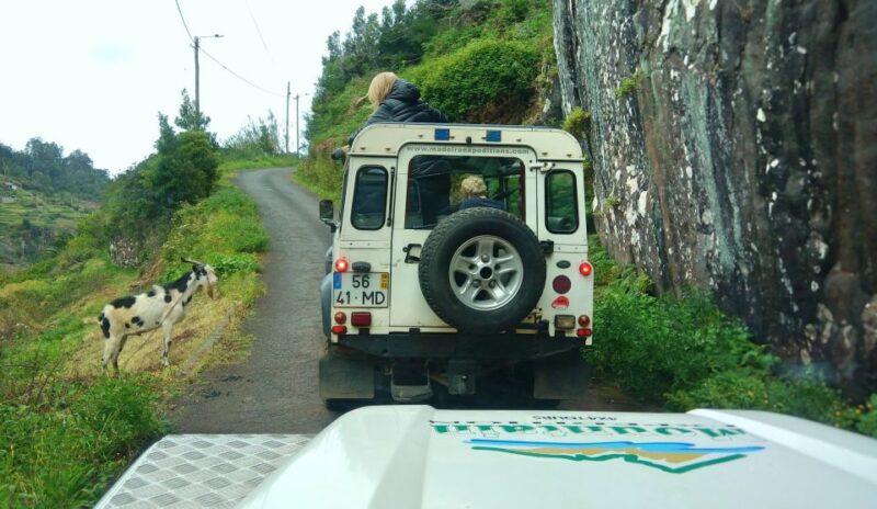 Madeira: Mini-Combo East Challenge: Jeep Safari + Levada - Key Points
