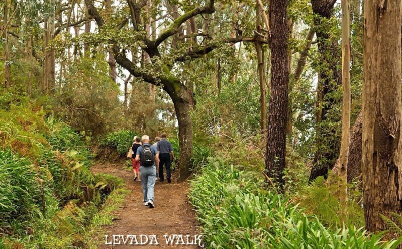 Madeira: Mini-Combo East Challenge: Jeep Safari + Levada - Who Will Enjoy This Madeira Tour Most?