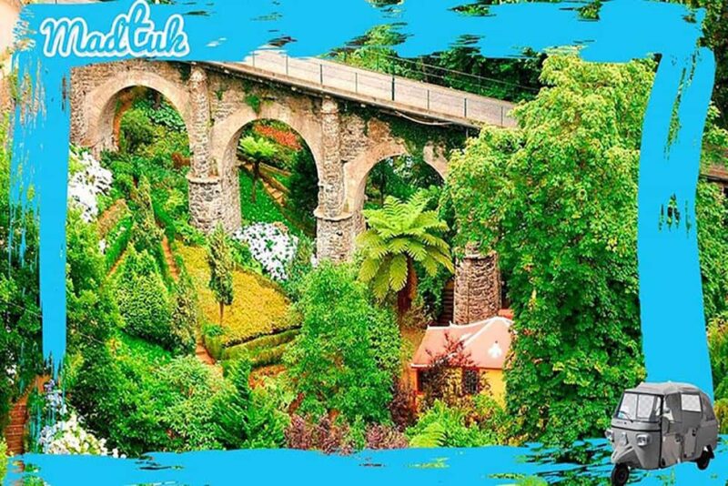 Madeira: Monte Toboggan & Old Town Guided Tuk Tour by MadTuk - Key Points