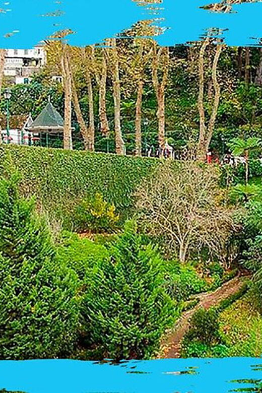 Madeira: Monte Toboggan & Old Town Guided Tuk Tour by MadTuk - Final Thoughts on the Madeira Tuk Tuk & Toboggan Tour