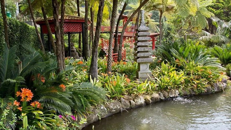 Madeira: Monte Tropical Gardens + Old Town Tuk Tuk by MadTuk - Madeira: Monte Tropical Gardens + Old Town Tuk Tuk by MadTuk