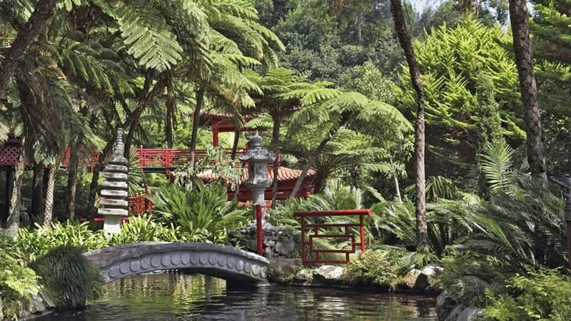 Madeira: Monte Tropical Gardens + Old Town Tuk Tuk by MadTuk - Comfortable and Scenic Ride in a Classic Tuk-Tuk