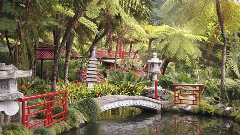 Madeira: Monte Tropical Gardens + Old Town Tuk Tuk by MadTuk - Booking, Cancellations, and Weather Considerations