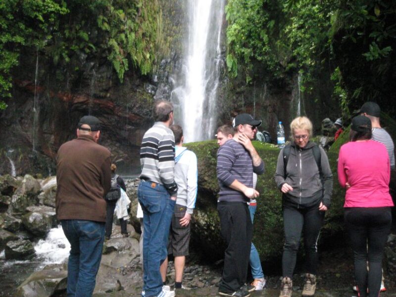 Madeira: Mountain Walk with Lagoon and Waterfalls - Key Points