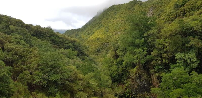 Madeira: Mountain Walk with Lagoon and Waterfalls - Who Will Enjoy This Walk Most?