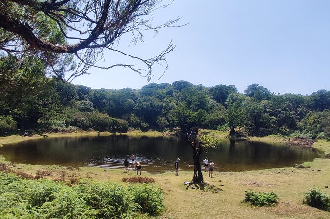 Madeira "Mystery Tour" - Full Day Private 4x4 Jeep - Exploring Madeira with a Private 4x4 Jeep
