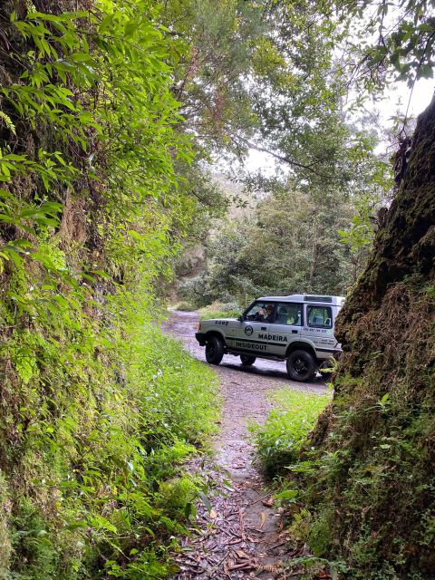 Madeira "Mystery Tour" Half-Day - Private 4x4 Jeep - Exploring Madeira’s Scenic Off-Road Routes