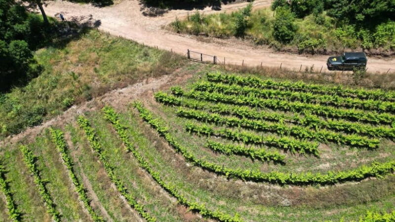 Madeira: Mystical 4WD Jeep Tour - Madeira: Mystical 4WD Jeep Tour – A Full-Day Exploration of the Island’s Best