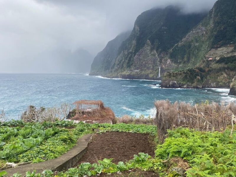 Madeira Northern Express, Private tour 4x4 - The Scenic Drive and Local Vineyards