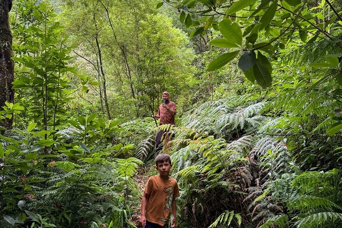 Madeira Off-Road 4x4 Jeep Adventure Private Full day Tour - Madeira’s Best Off-Road Adventures in the Wilderness