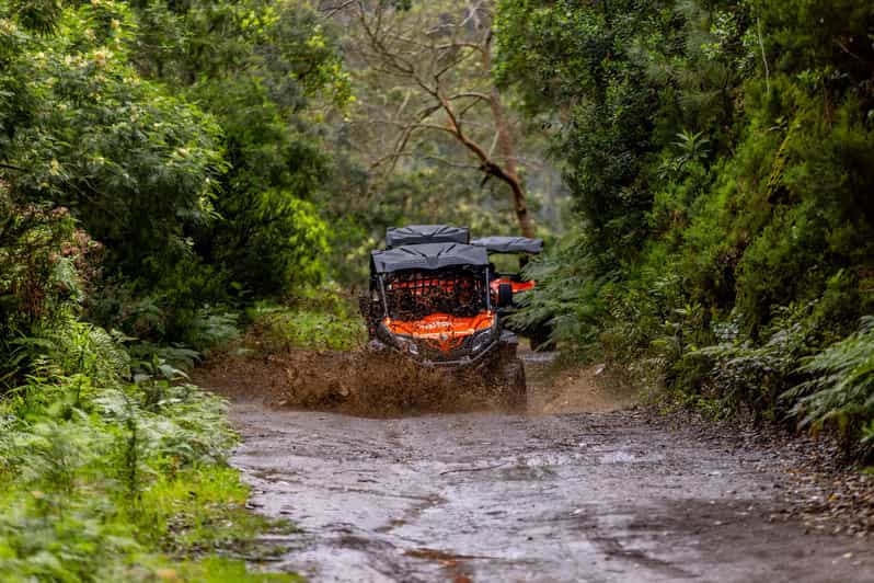 Madeira: OFF-ROAD BUGGY ADVENTURE TO FUNDURAS - Madeira: OFF-ROAD BUGGY ADVENTURE TO FUNDURAS