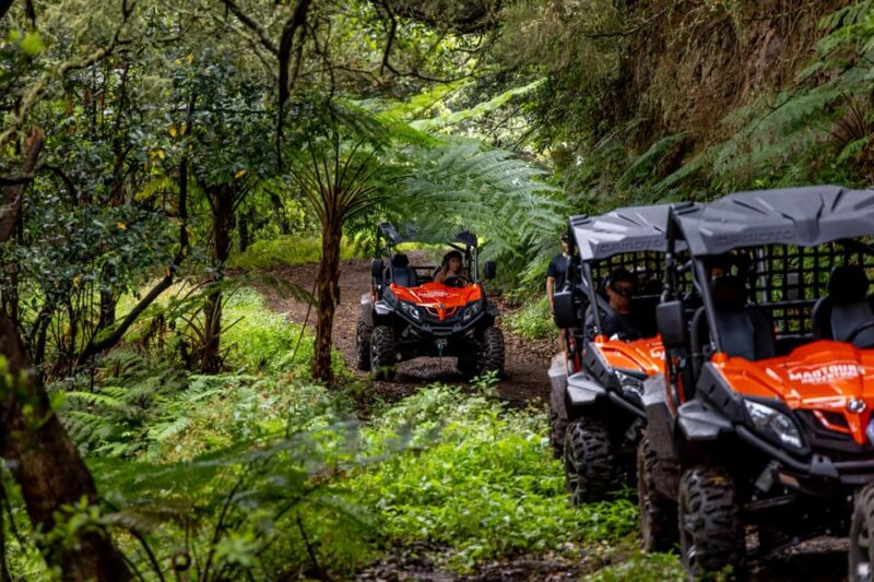 Madeira: OFF-ROAD BUGGY ADVENTURE TO FUNDURAS - Casa das Funduras and Pico do Furado: Key Highlights