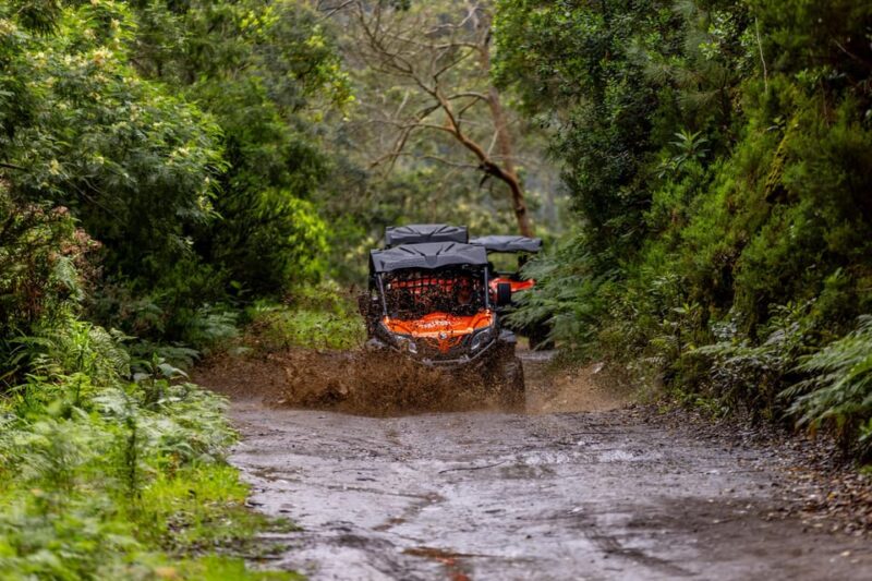 Madeira: OFF-ROAD BUGGY ADVENTURE TO FUNDURAS - Practical Tips for the Buggy Tour