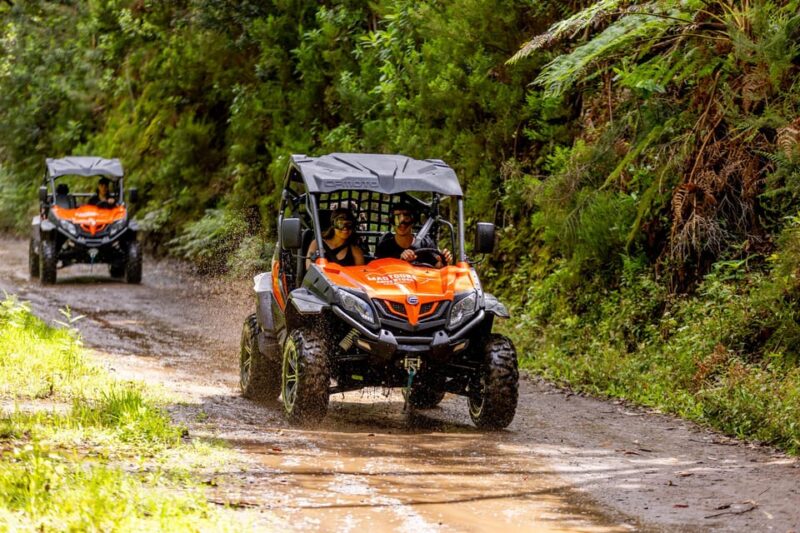 Madeira: OFF-ROAD BUGGY ADVENTURE TO FUNDURAS - Reviews and What Makes This Tour Stand Out