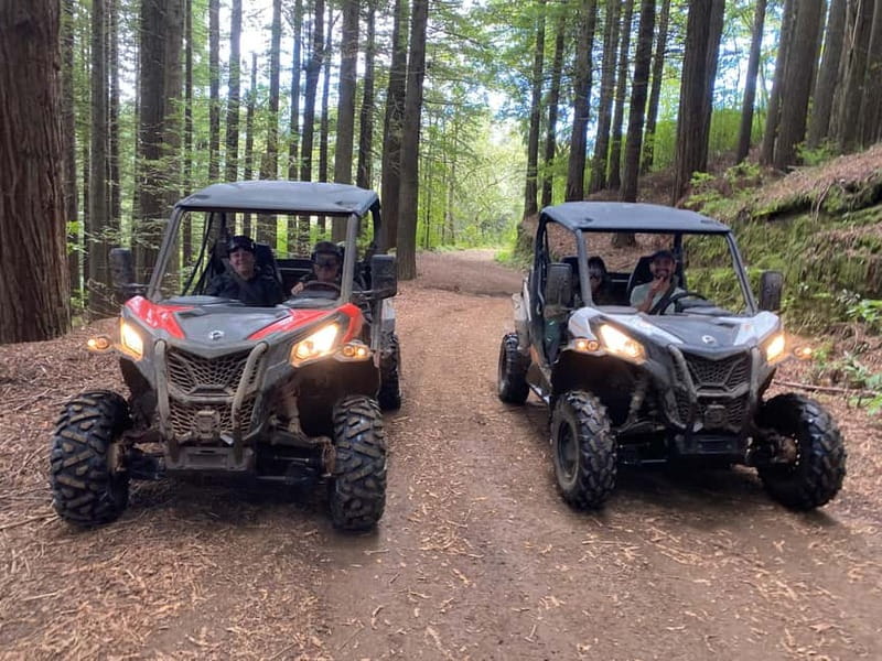 Madeira: Off-Road Buggy Driving Experience - Key Points