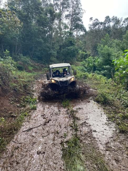 Madeira: Off-Road Buggy Driving Experience - Exploring Madeira’s Laurisilva Forest and Mountain Views