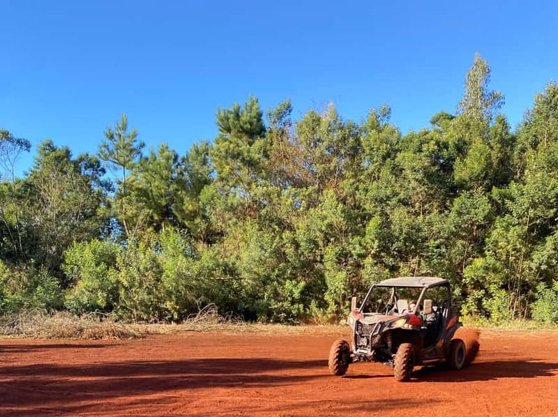 Madeira: Off-Road Buggy Driving Experience - The Experience of Riding Through Madeira’s Diverse Landscapes