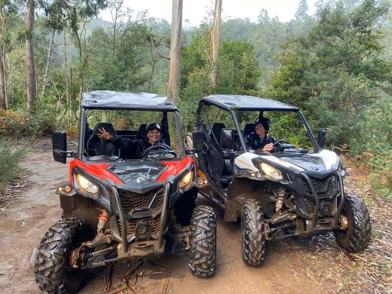 Madeira: Off-Road Buggy Driving Experience - Flexibility and Booking Options