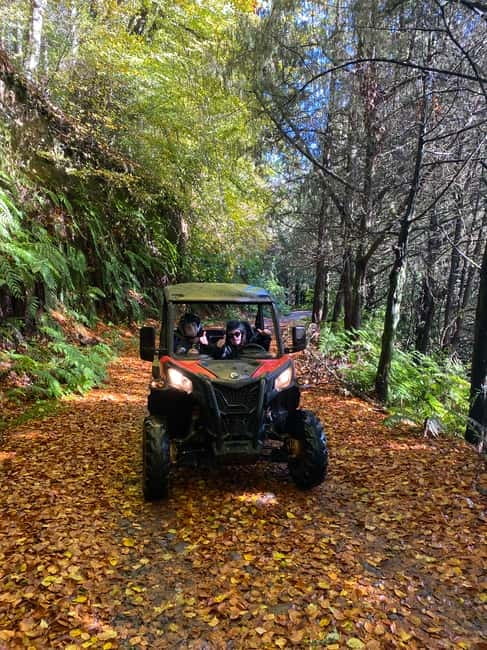 Madeira: Off-Road Buggy Driving Experience - Why This Tour Stands Out Compared to Other Madeira Tours