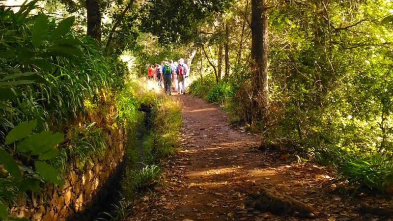 Madeira: Paradise Valley Levada Walk - Exploring the Century-Old Levada: History and Heritage