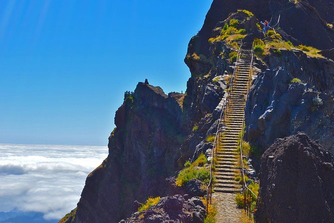 Madeira Peaks - Mountain Walk - Starting Your Day with Pickup at Funchal