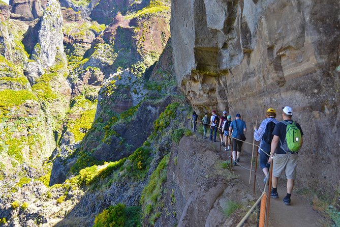 Madeira Peaks - Mountain Walk - The Diversity of Flora and Fauna Along the Route