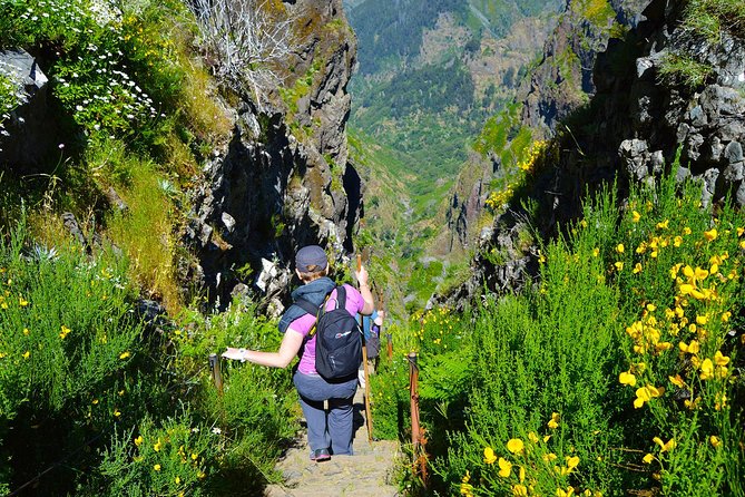 Madeira Peaks - Mountain Walk - Practical Tips for the Mountain Walk