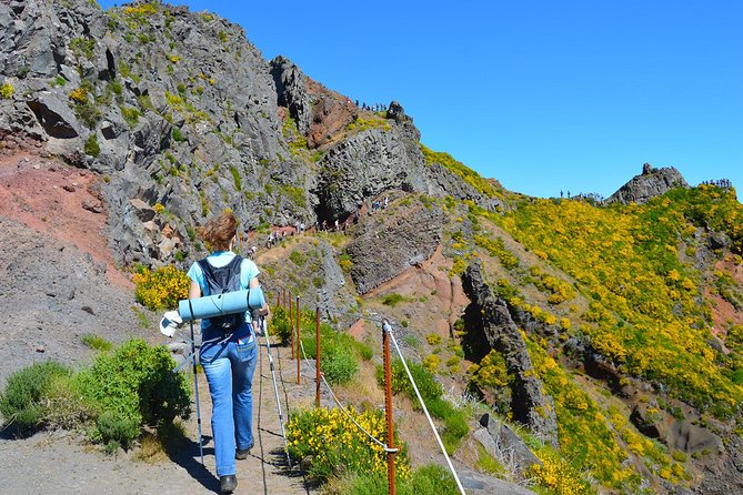 Madeira Peaks - Mountain Walk - The Experience of Guides and Group Dynamics