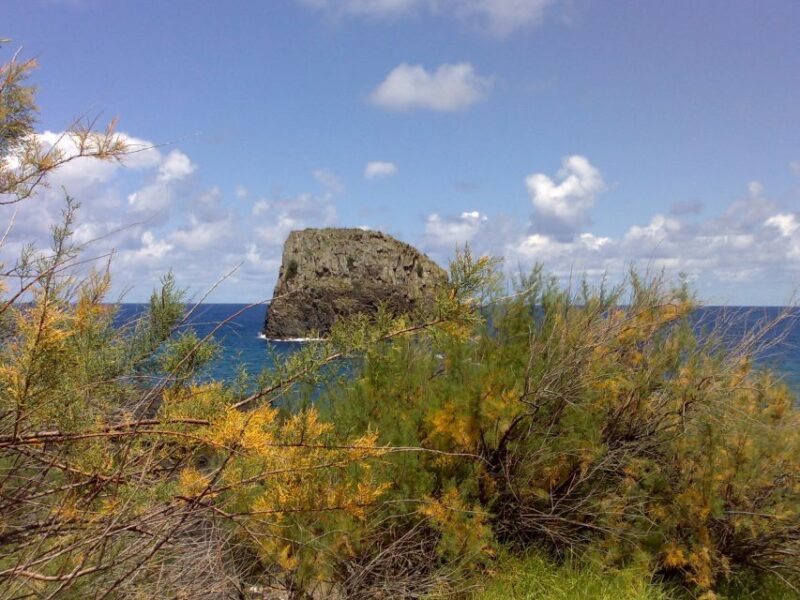 Madeira: Pico do Arieiro & Laurissilva Forest - East tour - Madeira: Pico do Arieiro & Laurissilva Forest - East tour