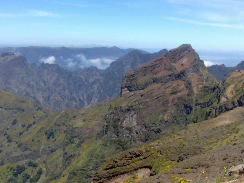 Madeira: Pico do Arieiro & Laurissilva Forest - East tour - Practical Details and Group Experience