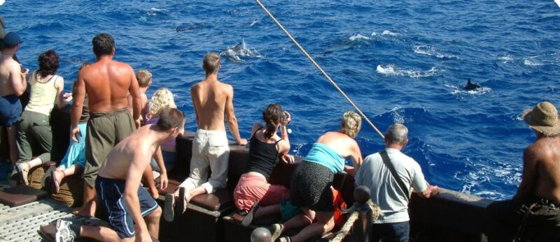 Madeira Pirate Ship: 3-Hour Boat Trip - Sights Along Madeira’s South Coast