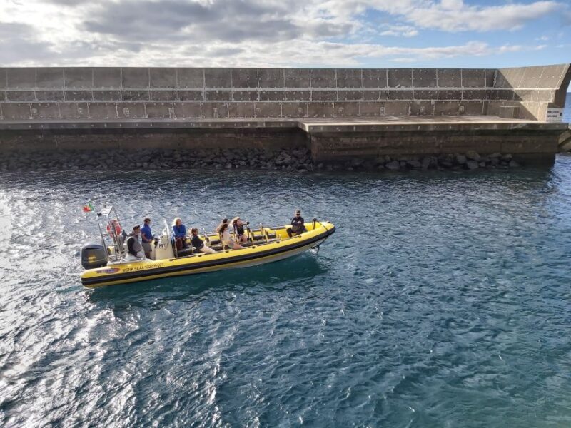 Madeira: Ponta de São Lourenço Lighthouse Boat Tour - Scenic Stops with Opportunities for Water Activities