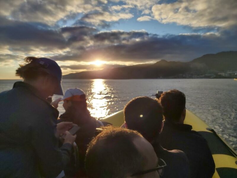 Madeira: Ponta de São Lourenço Lighthouse Boat Tour - Visiting the Protected Islet of Ilhéu dos Desembarcadouros