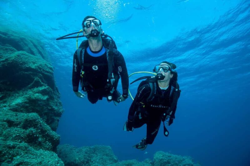 Madeira: Ponta de São Lourenço Shore Dive (certified divers) - Key Points